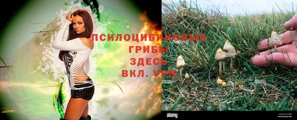 молекула духа Алексин