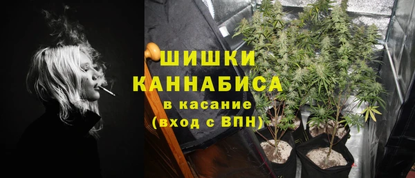 твердый Абаза