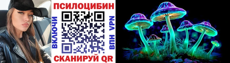 наркотики  Петров Вал  Псилоцибиновые грибы Magic Shrooms 